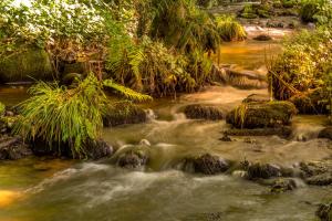 Fotografie z fotogalerie ubytování Chambres d'Hôtes "La Landre" v destinaci Le Clerjus