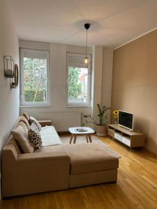 een woonkamer met een bank en een tafel bij Sleep-Enjoy Apartment in Novi Sad