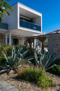 une maison moderne avec des plantes devant elle dans l'établissement Villa Flavia and Alba - Private Heated Pool, à Novalja