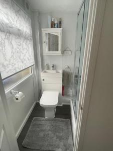 ein Bad mit einem WC, einem Waschbecken und einer Dusche in der Unterkunft Private en-suite garden room in Countess Wear