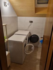 a small bathroom with a washing machine and a toilet at Gemütliche Wohnung am Waldrand in Thierhaupten