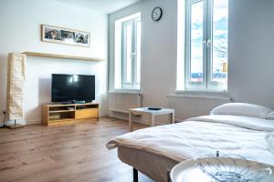 a bedroom with a bed and a flat screen tv at Będzin Standard Apartment in Będzin