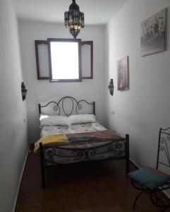 Gallery image of Hostel THE ATLAS LION in Tangier