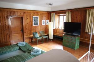 Μια τηλεόραση ή/και κέντρο ψυχαγωγίας στο Tulpe Apartments