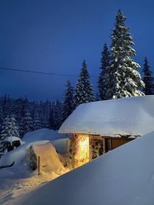 a snow covered cabin with a lit up sign in the snow at Vershyna in Dragobrat