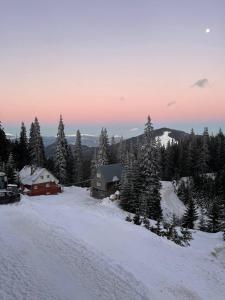 a snow covered hill with houses and trees at Vershyna in Dragobrat