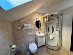 een badkamer met een douche, een toilet en een wastafel bij Podu' cu Lanturi in Bacău