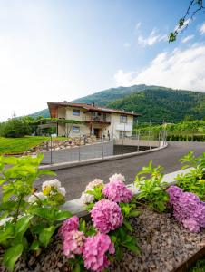 Nespecifikovaný výhled na hory nebo výhled na hory při pohledu z hotelu