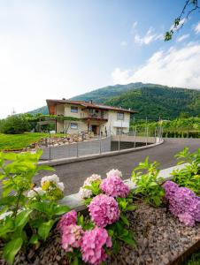 a house with pink flowers in front of a road at Garnì Tuttotondo in Levico Terme