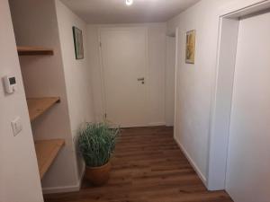 un pasillo con una puerta blanca y una maceta en Auszeit auf dem Land, en Maierhöfen