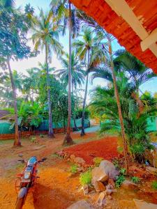a motorcycle parked in front of some palm trees at EcoZen Holiday Rooms in Agonda