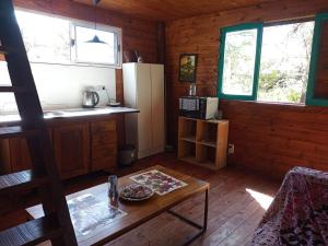 een keuken met een koelkast en een tafel in een kamer bij Cabaña los sauces in Tigre