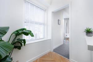a hallway with a window and a plant at Stunning Central Plymouth Studio Apartment - Sleeps 2 - Habita Property in Plymouth