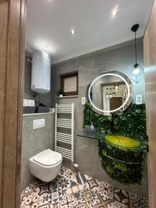 un baño con inodoro y espejo en Apartmani Lana, en Vlašić