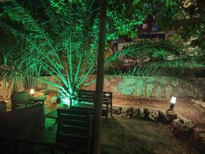 a garden with a table and a palm tree at night at La Palace Exclusive Design in Istanbul