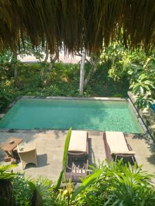 una piscina con tumbonas y sillas junto a en eco beach house bali, en Penginuman