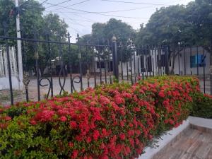 un montón de flores rojas delante de una valla en APARTA ESTUDIO PERLA ROJA, en Ríohacha