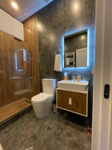 La salle de bains est pourvue de toilettes, d'un lavabo et d'une douche. dans l'établissement Kakheti , Villa Ambassadori Kachreti Golf Resort, à Kachretʼi