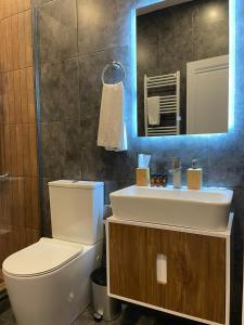 a bathroom with a toilet and a sink and a mirror at Kakheti , Villa Ambassadori Kachreti Golf Resort in Kachretʼi