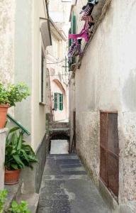 een steegje met een steeg tussen twee gebouwen bij Donna Sara Appartamento in corte Amalfitana in Amalfi
