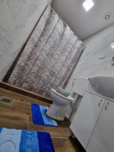 a bathroom with a toilet and a shower curtain at Apartman Sparta in Sombor