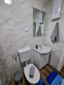 La salle de bains est pourvue de toilettes blanches et d'un lavabo. dans l'établissement Apartman Sparta, à Sombor