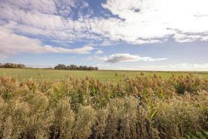 Φυσικό τοπίο κοντά σε αυτό το διαμέρισμα +2 φωτογραφίες
