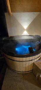 a hot tub with people in it with blue water at Cabana Pietrele Șoimului in Cavnic