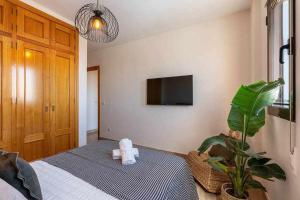 a bedroom with a bed with a plant and a tv at Hi Granada Suite A in Granada