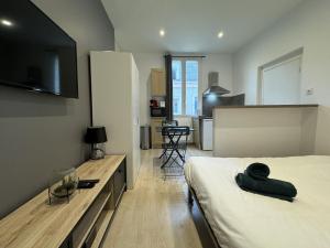 1 dormitorio con 1 cama y TV de pantalla plana en Rive Droite - Rivière Sarthe - 2 pers - Rêve au Mans en Le Mans