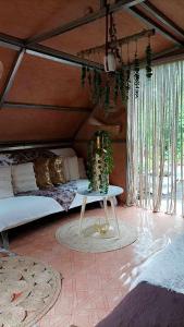 a room with a bed and a table with a plant at CAMPING le fruit de la passion in Saint-Louis