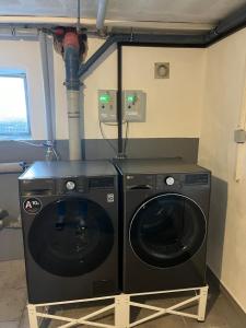 Un lavadero con lavadora y secadora. en Ferien/Monteur Wohnung Gapp, en Bad Waldsee