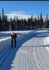 uma pessoa está a esquiar numa encosta coberta de neve em Kultsjögården-Saxnäs- Marsfjäll 10 em Saxnäs