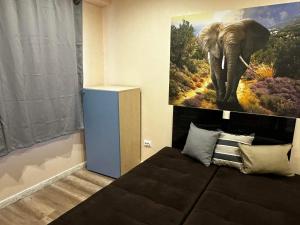 een kamer met een olifantenverf aan de muur bij Апартамент Миели in Sofia