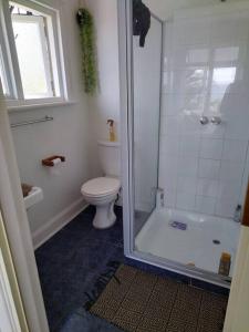 a bathroom with a toilet and a shower with a glass door at Sunrise beach house in Kingsburgh