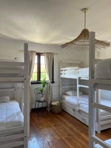 a room with four bunk beds and a window at La Posada Coliving in Viña del Mar