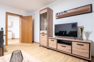 Bergblick Appartements في باد جاستاين: غرفة معيشة مع مركز ترفيهي كبير مع تلفزيون بشاشة مسطحة