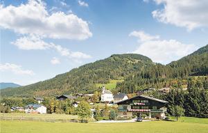 a town in the middle of a field with a mountain at Amazing Apartment In Flachau With 2 Bedrooms And Wifi in Flachau