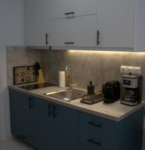 Una encimera de cocina con fregadero y microondas. en Rooster Ioannina, en Ioannina 11 fotos más