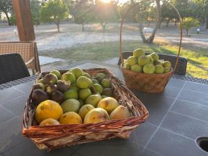 Monte Velho - Country House في Canha: وجود سلالتين من الفواكه فوق طاولة