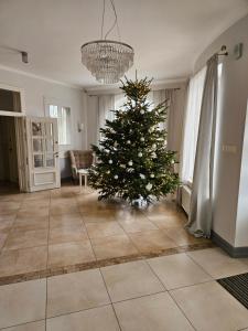 a christmas tree in the middle of a living room at Hotel Onyx in Gubin