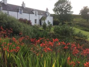 Casa blanca con jardín con flores rojas en Ardnadrochet Cottage, en Lochdon