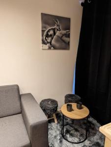 Posezení v ubytování Superbe appartement sur le front de neige