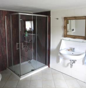 a bathroom with a shower and a sink at Ferienhaus alte Försterei in Malchin