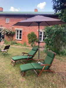 two lawn chairs and an umbrella in a yard at Ferienhaus alte Försterei in Malchin