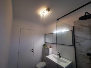 een badkamer met een toilet, een wastafel en een spiegel bij Nikos Residence in Roman