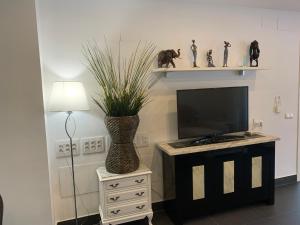 sala de estar con TV y jarrón con planta en Beach Bungalow, en Málaga