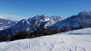 Ferienwohnung Dolomitenpanorama v zimě