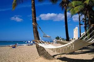 サンファンにあるLuna Llena Beach 1Bdr Oceanview Poolのヤシの木が茂る浜辺のハンモック