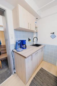 a kitchen with a sink and a counter top at Ferienhaus Schöne Aussicht Ferienwohnung Blau in Hemfurth-Edersee